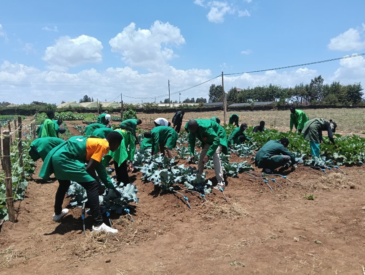 Agriculture at MTTI